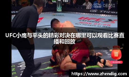 bsports官方网站